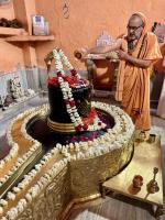 Darshan at Neelkanth Mahadev Mandir (11 March 2025)